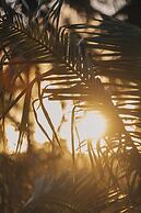 Palawan Pousada & Bistrô