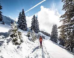 Apartment in Chatel With ski Locker