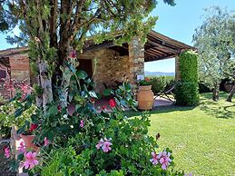 Farmhouse in Tuscany With Olive Grove Views
