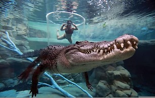 Zen Oceanscape Balcony - Oceanview - Parking