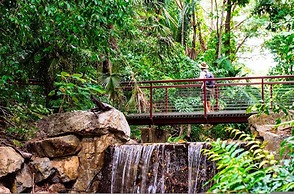 Zen Oceanscape Balcony - Oceanview - Parking