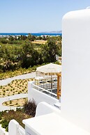 Plaka Villas Naxos - Villa Matina Villa Sofia
