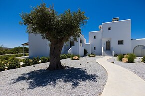 Plaka Villas Naxos - Villa Matina Villa Sofia