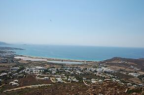 Prokopios Cottage Cycladic Home a Walk to Beach