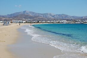 Prokopios Cottage Cycladic Home a Walk to Beach