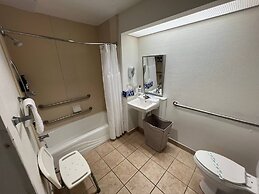 Disney Favorite Free Shuttle