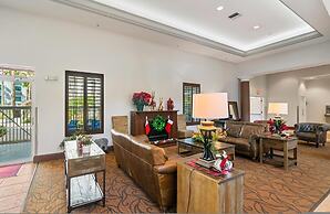 Disney Favorite Free Shuttle