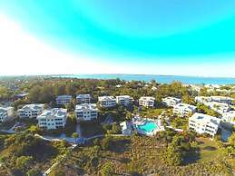 Shell Island Beach Club