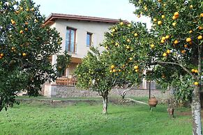 Casa Rural La Flor del Naranjo