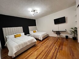 Spacious Apts in Chic Polanco