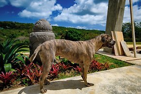 Club Vieques - Adults Only Resort - LGBT Friendly