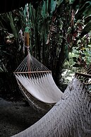 Conga Boutique Hotel