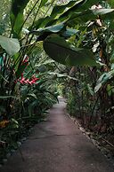 Conga Boutique Hotel