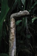 Conga Boutique Hotel