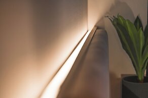 JUNGLE No5 Boutique Hotel - Stuttgart City-Center