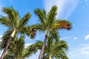 Kuleana Club - 402