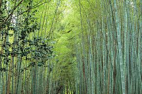 Kansai Seminar House