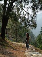 Jaseelo Camps & Resort