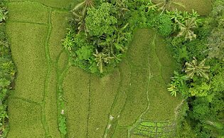 Garden Villa Ubud By BREIG