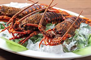 PiDDs Family Kinomiya