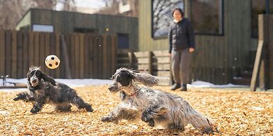 YADOKARI VILLAGE KITAKARUIZAWA