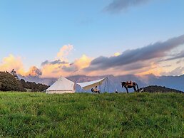 Shangri-La ManXinYu Frozen Dream Forest