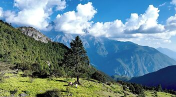 Shangri-La ManXinYu Frozen Dream Forest