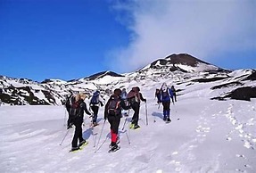 Central Station House Riccardo