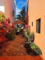 Casa Monarca