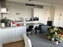 Nice accomodation close to atonium