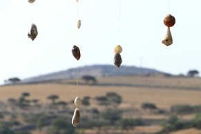 Harama Hotel Schinousa