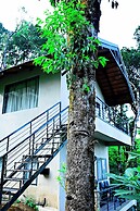TANARYA LUXURY HOMESTAY