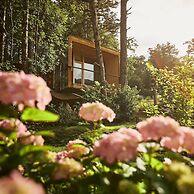 Theodosius forest village Vipava