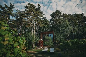 Theodosius forest village Vipava