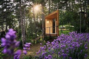 Theodosius forest village Vipava
