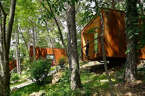 Theodosius forest village Vipava