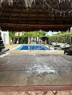 departamento torrent