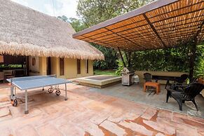 Yeguas Y41 by Wynwood House