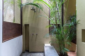 Yeguas Y41 by Wynwood House