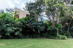 Yeguas Y41 by Wynwood House