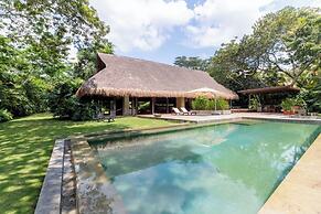 Yeguas Y41 by Wynwood House