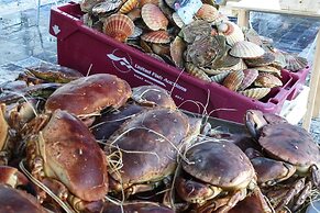 Nice Holiday Flat, 100 m From the Beach, Erquy