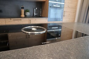 Modern Apartment 100 m From ski Area