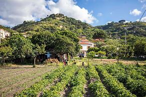 HibiscusUno Tropea Residence