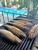 Begonya Hotel Kemer - All Inclusive