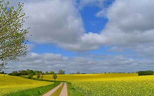 Apartment for 3 in Metels Dorf