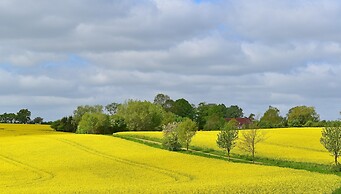 Apartment for 3 in Schulenbrook