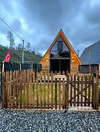 Rize Seversin Suit Bungalow