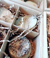 Laklouk 1808 lodge by Hansa