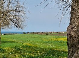 Spacious Urban Retreat Apartment With Terrace